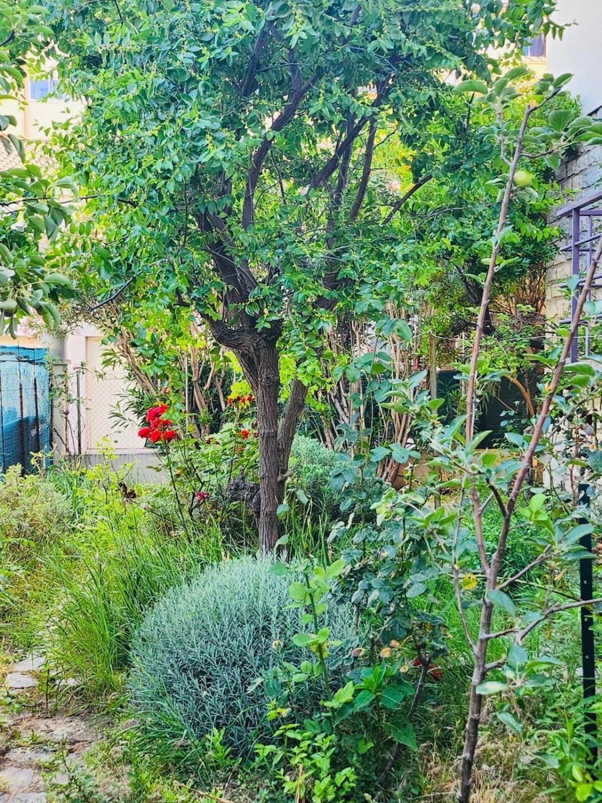 Apartamento Paisible Pour 4 Personnes Montpellier